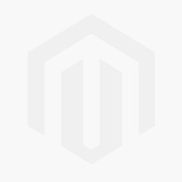 Insights for CISOs—Zero Trust Network Access (ZTNA)